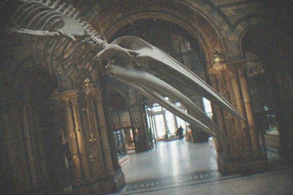 Natural History Museum